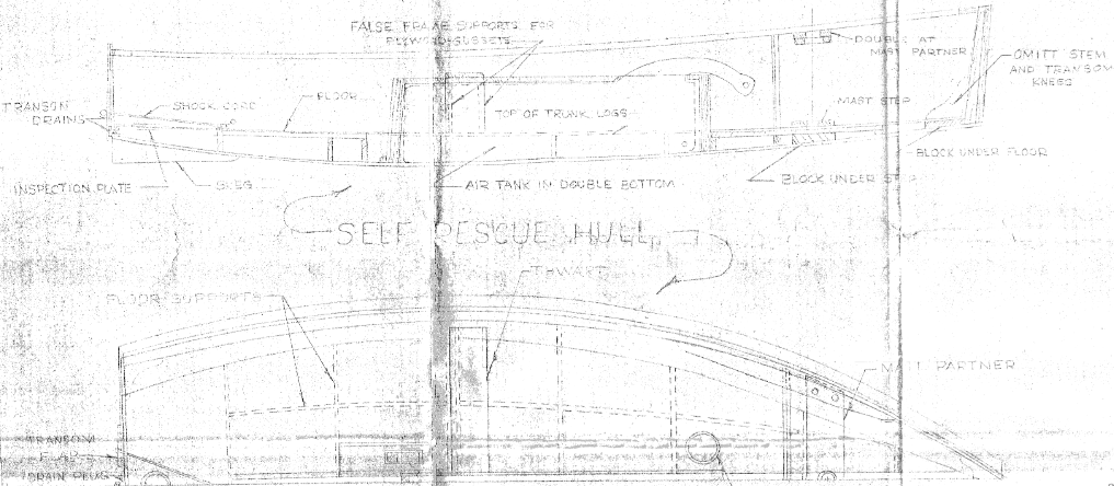 Penguin self rescue study preview